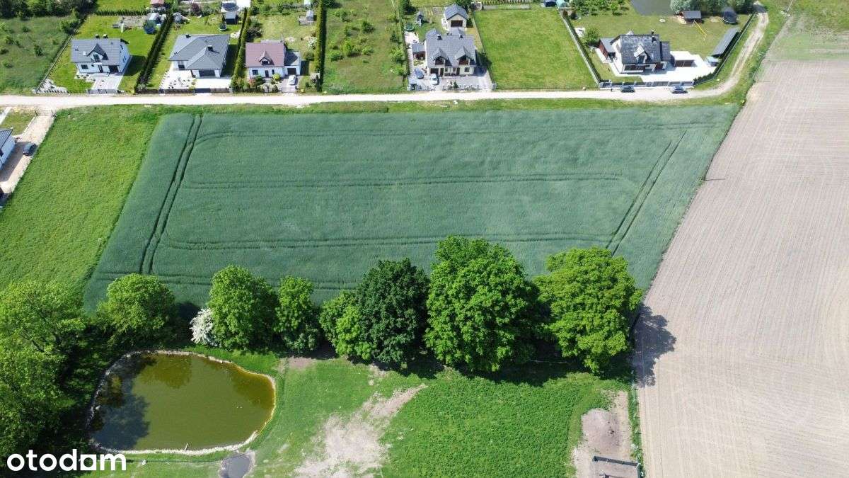 *Duża działka inwestycyjna*9738 m2*Brzozówka* - Pełny obrazek: 5/13