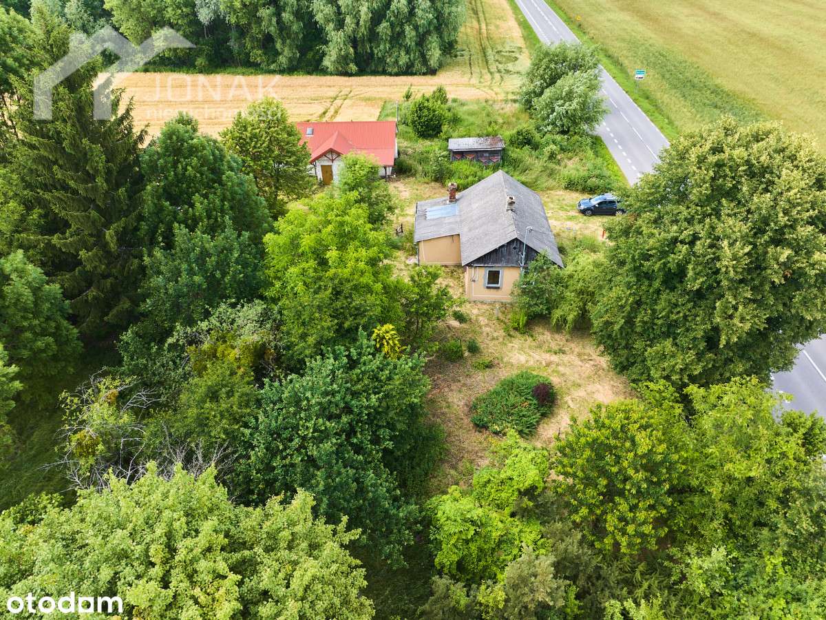 Siedlisko blisko lasu i zalewu - Pełny obrazek: 1/16