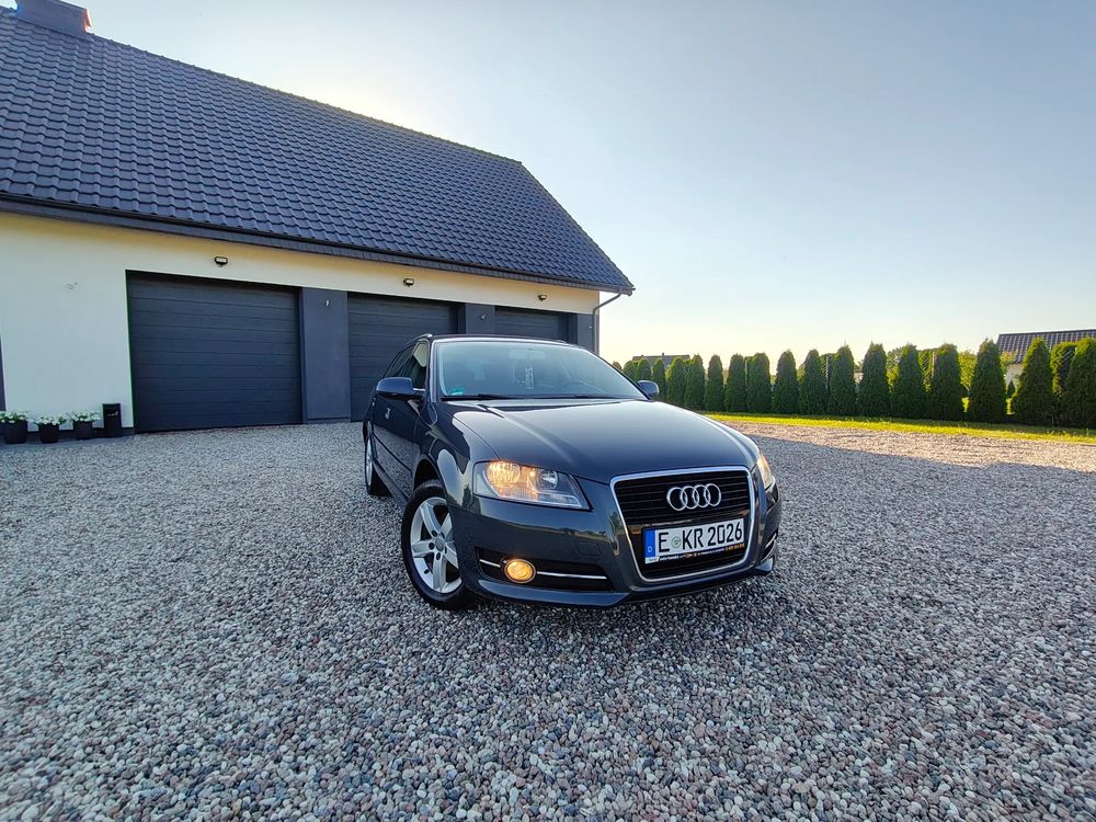 Audi A3 8P (2003-2012) 1.6 Ambiente 2010