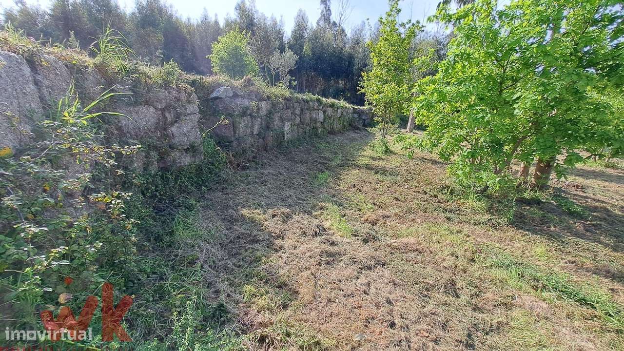 QUINTA cerca 1.5Ha, com CASA PEDRA 100m2, registada como habitação-13