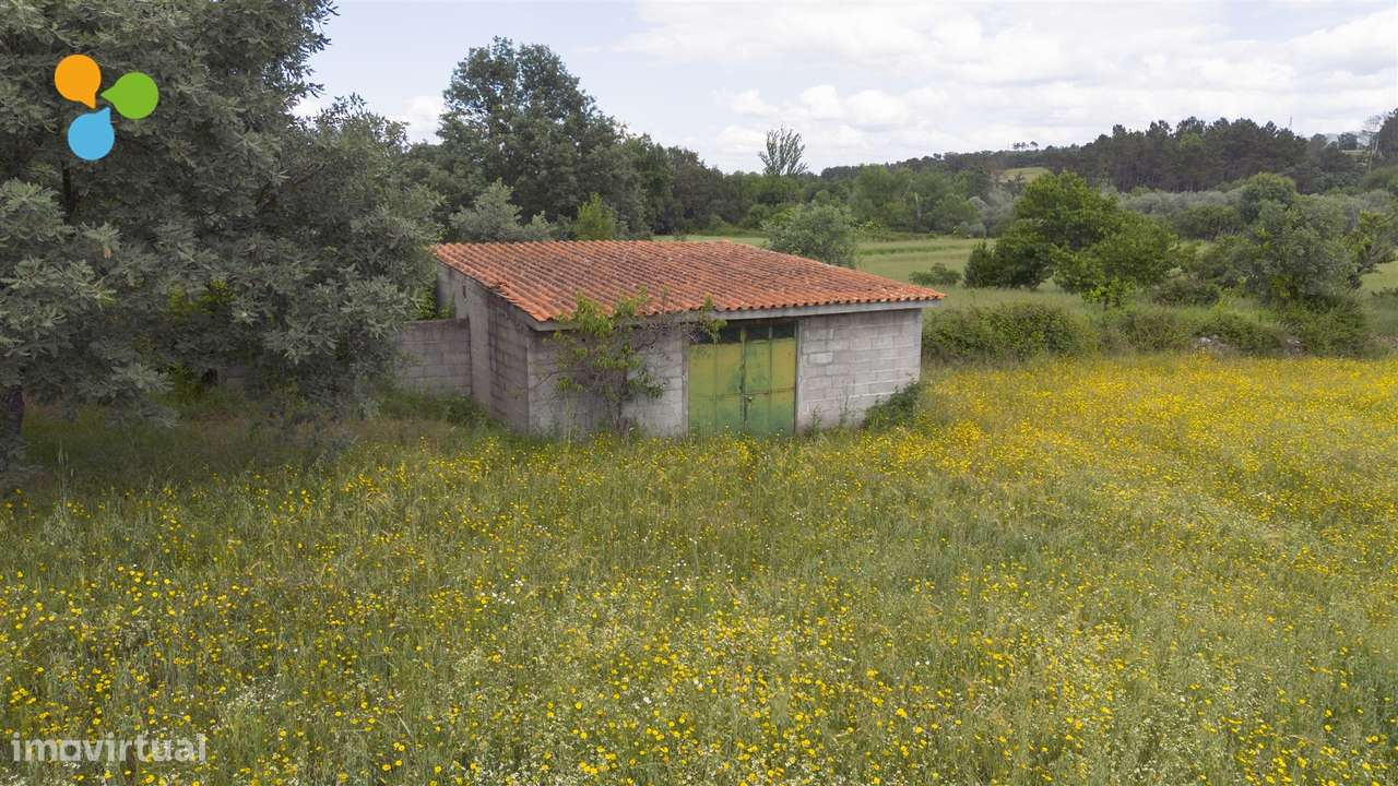 Quinta - Boidobra-12