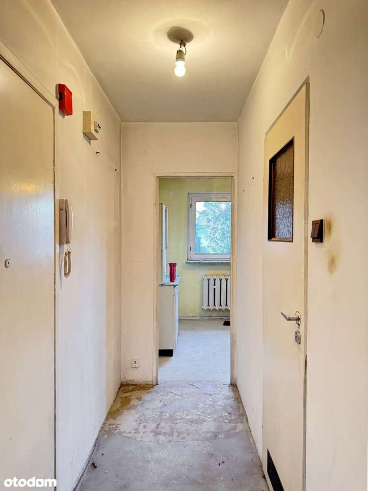 Mieszkanie na parterze | ul. Tadeusza Rejtana-3