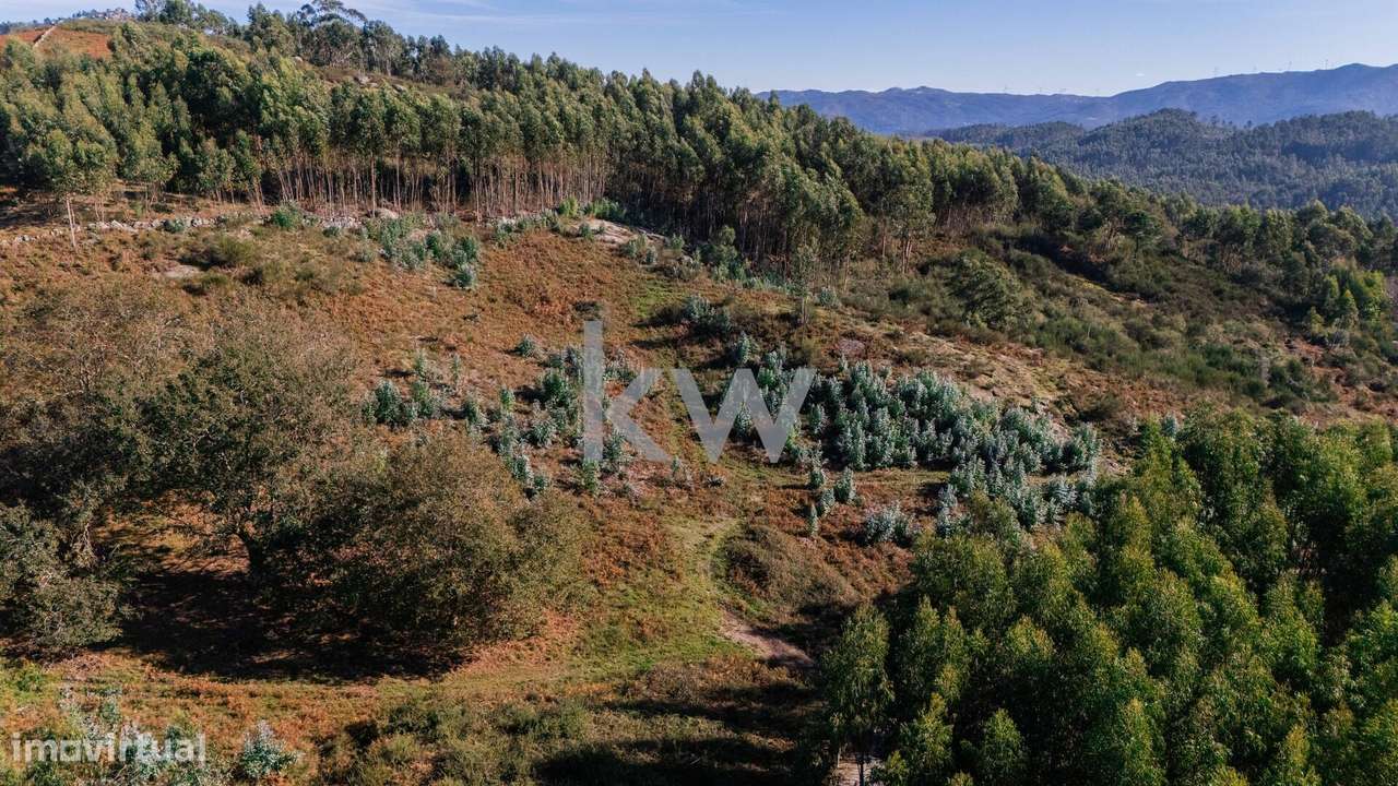 Terreno com viabilidade construtiva próximo do Gerês - Grande imagem: 4/28
