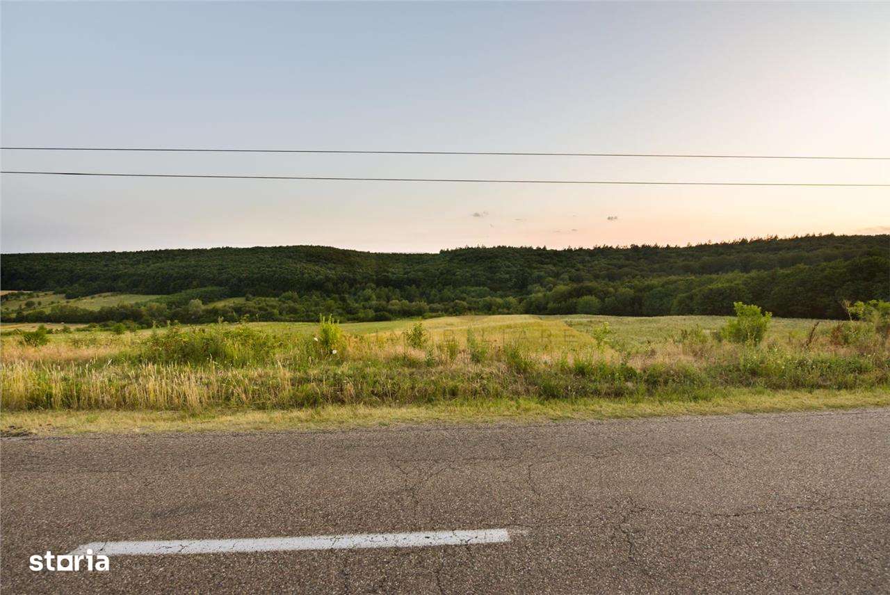 RECO Teren extravilan 11500 mp -Lazareni - Imagine principală: 5/5