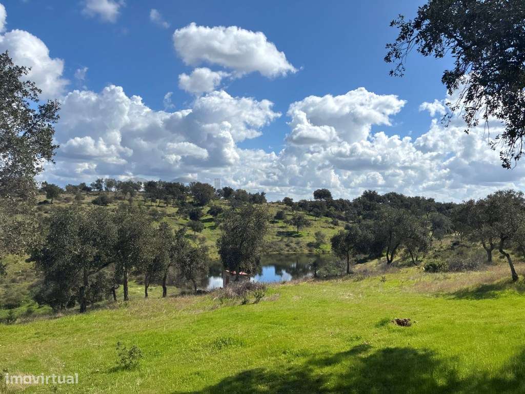 Quinta T2 em Serpa | Vista para a barragem-53