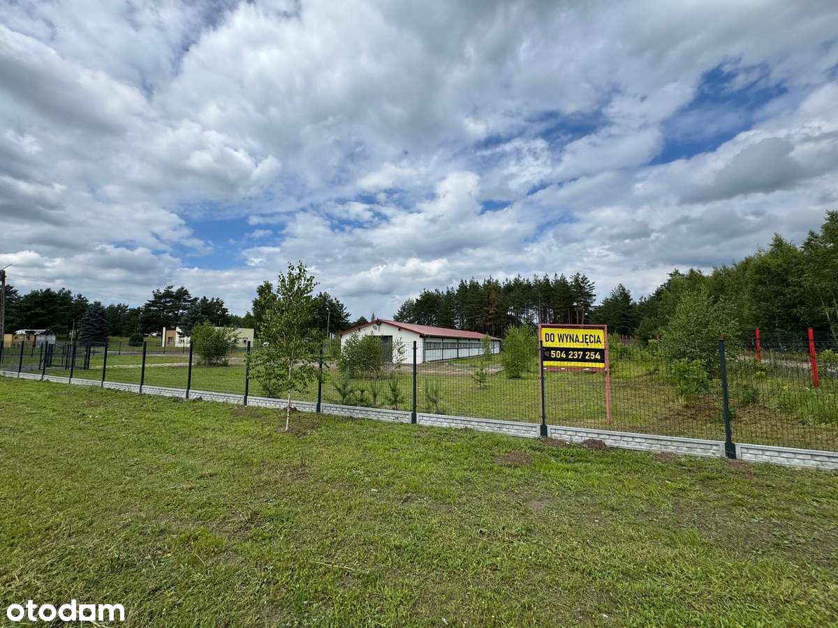 Hala produkcyjno-magazynowa z powierzchnią biurową, obiekt ogrodzony - Pełny obrazek: 5/20