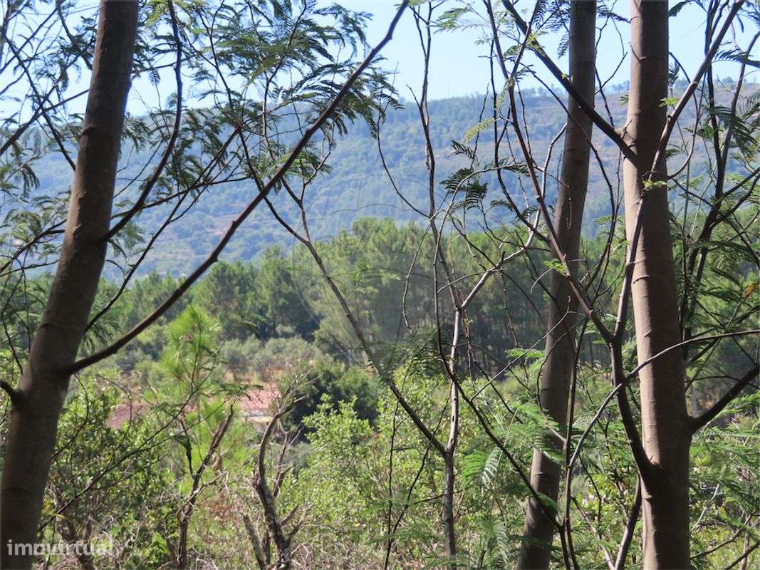 Quinta T2 para venda - Grande imagem: 3/50