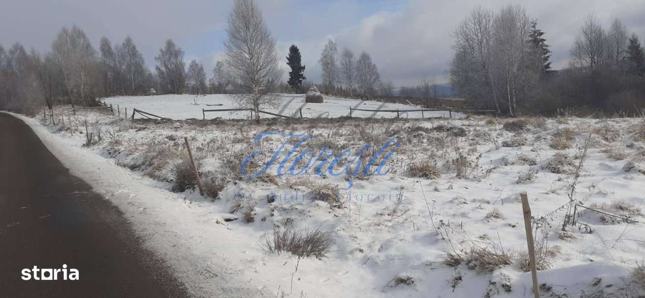 Teren intavilan, 3000 mp, front la stradal 16mp. zona Rasca - Imagine principală: 1/1