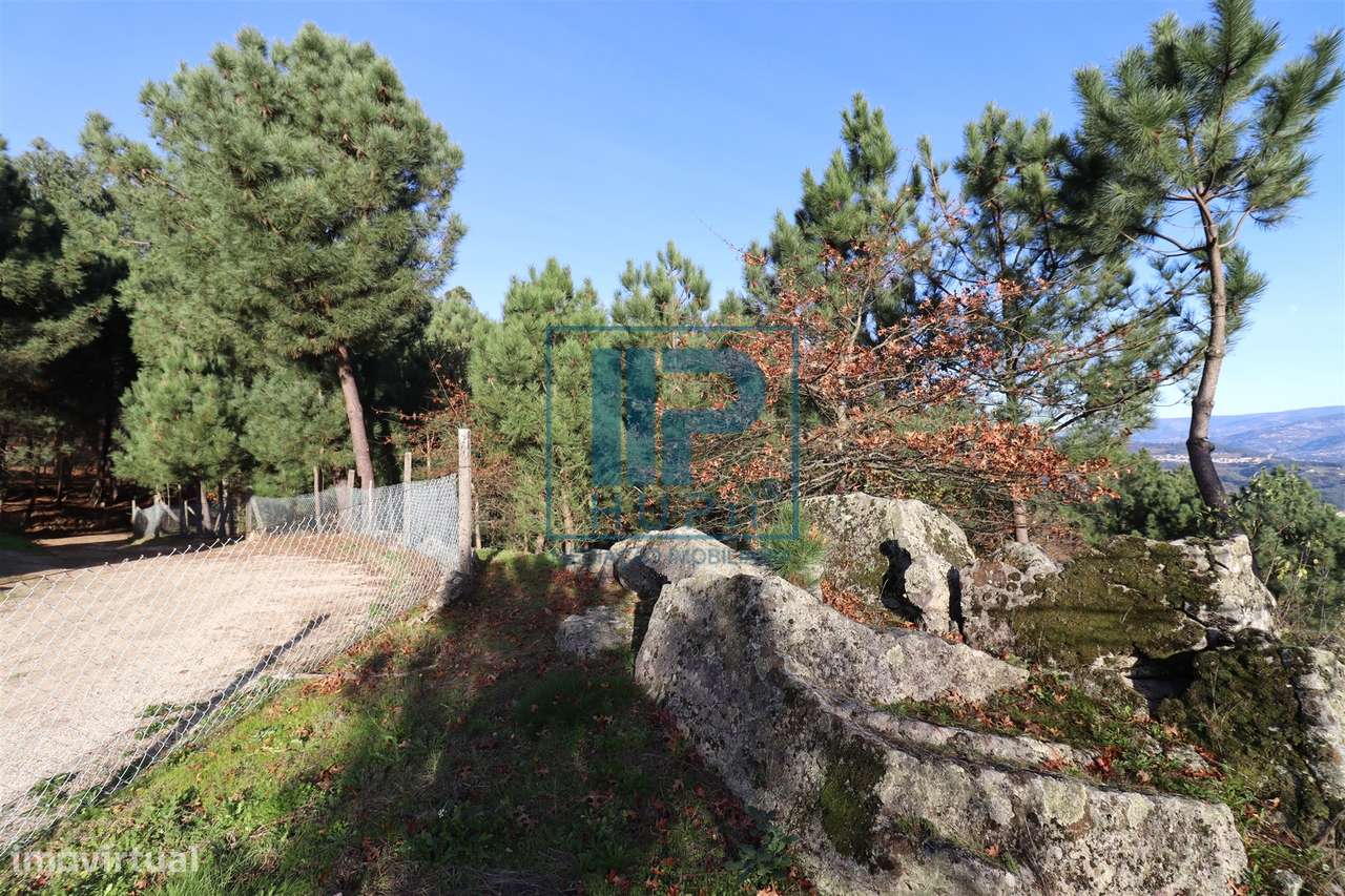 Quinta T3+1 Venda em Penhalonga e Paços de Gaiolo,Marco de Canaveses-51