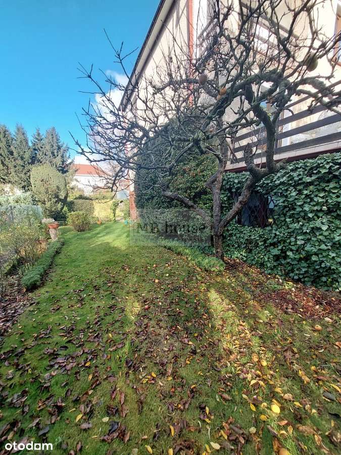 Bliźniak na Pogodnie-19