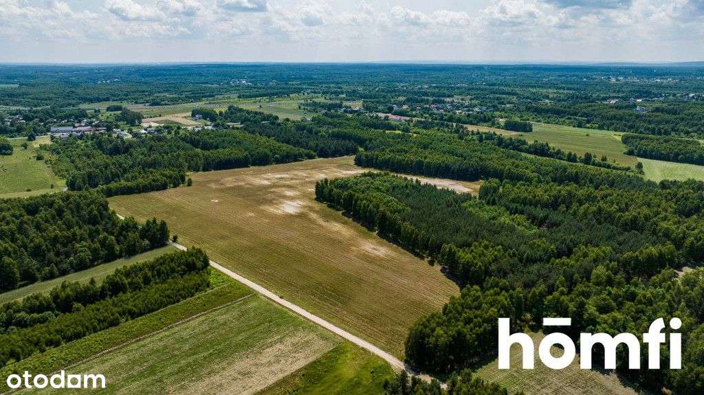 Działki przy lesie - uzbrojone, gotowe do zabudowy - Pełny obrazek: 2/14