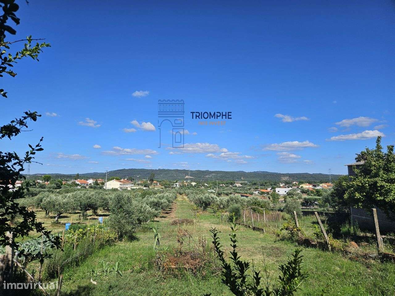 Quinta terreno rústico, com parcela urbana Tomar - Grande imagem: 5/16