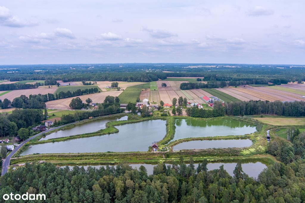 Gospodarstwo rybne! Stawy! 9 hektarów!