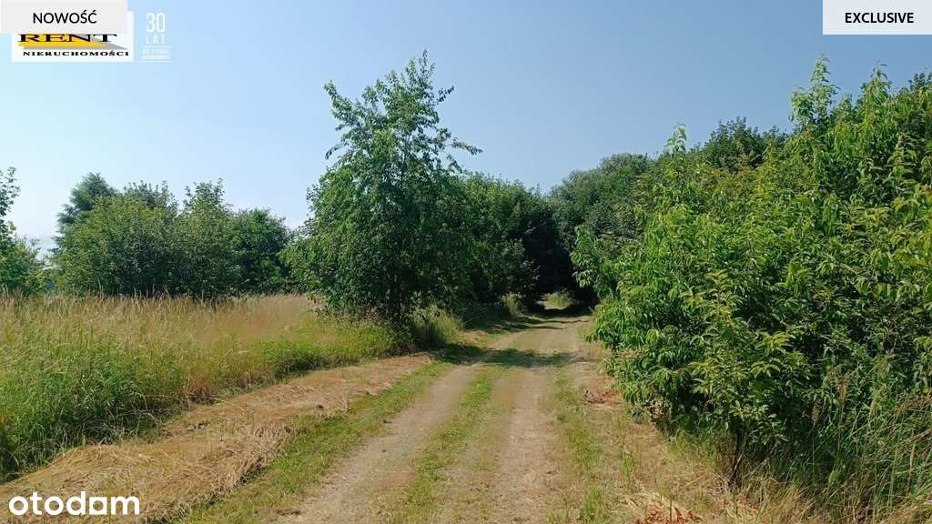 Działka w Radawce k/Dziwnówka i Łukęcina-2
