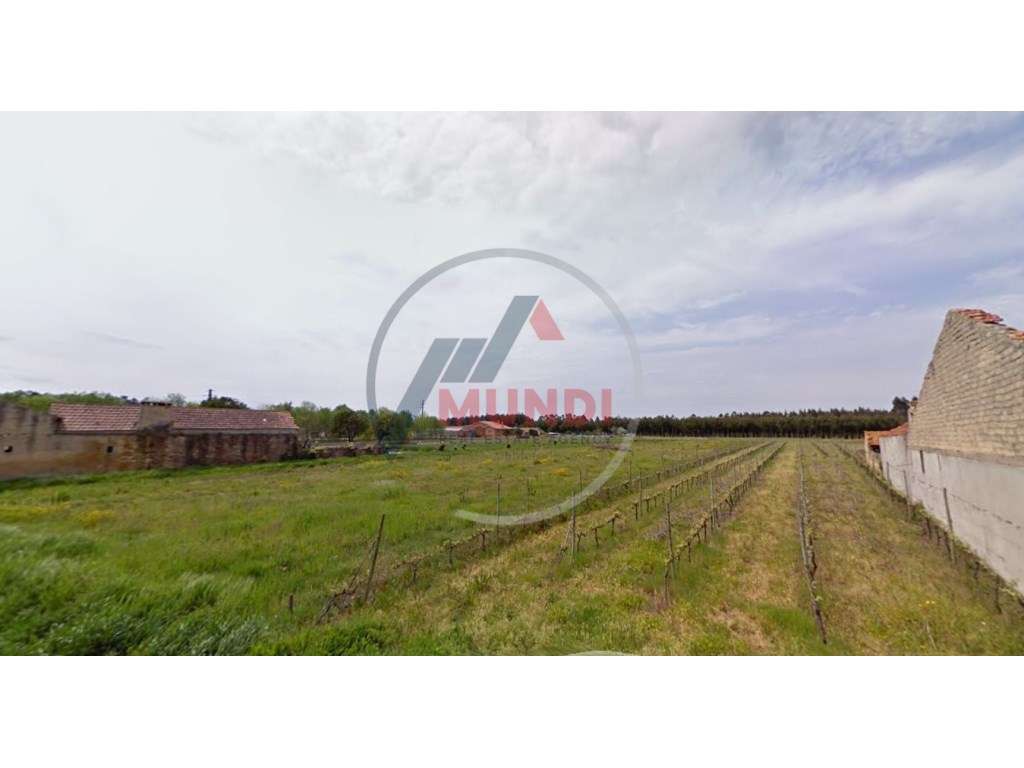 Terreno para construção 17 metros de frente, em a 7 minutos de Cant... - Grande imagem: 3/3