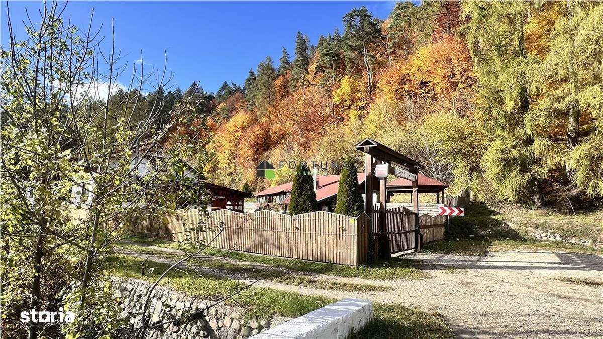 Teren intravilan cu PUZ 2000mp -Sacele  - Bradet - Imagine principală: 4/19