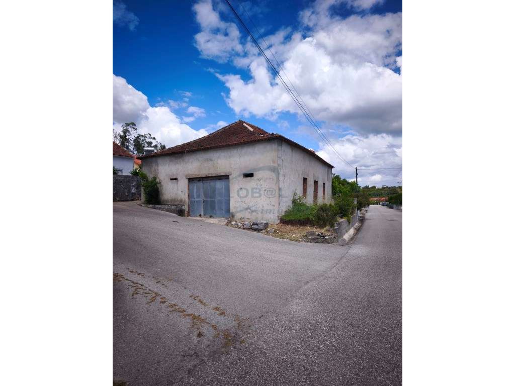 Imóvel a servir de barracão em aldeia junto a Torres Novas-2