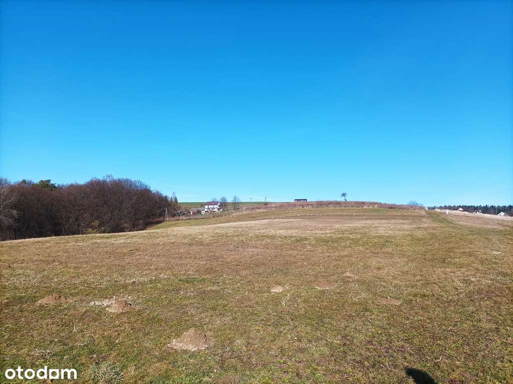 Duża działka z widokiem na Jezioro Rożnowskie - Pełny obrazek: 4/20