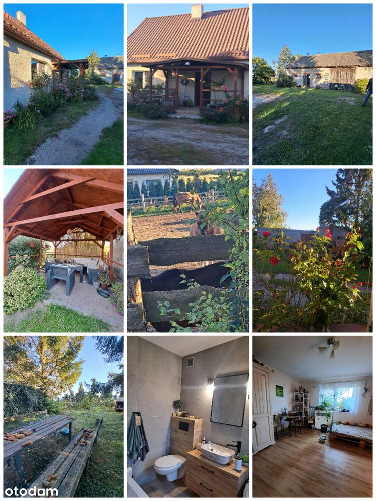 Dom, duża działka, stajnia-18