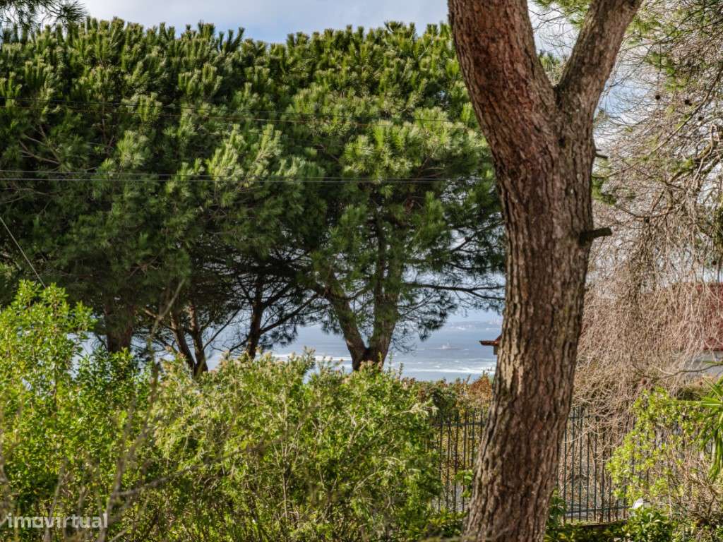 Terreno com vista mar para construção moradia de 250m2, Costa da Ca... - Grande imagem: 4/12