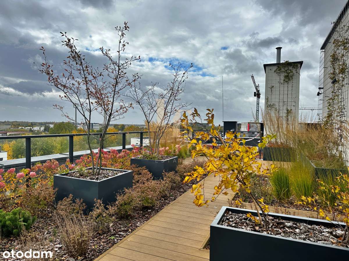 Dwustronne|Patio na dachu|Parking|Balkon|KW-13