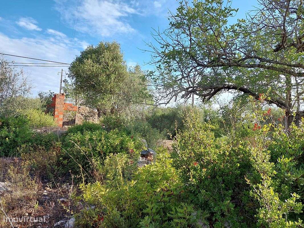 Terreno  para venda - Grande imagem: 4/18