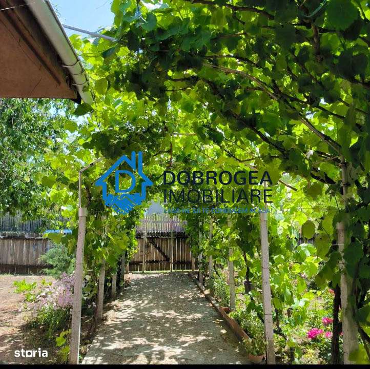 CATALOI - CASA 3 CAMERE, SUPRAFATA 76,50 MP, TEREN 2250 MP-0