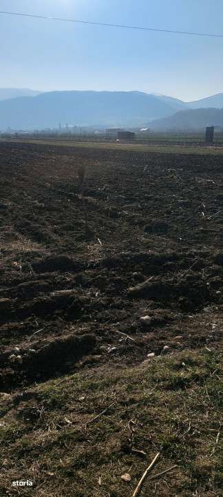 Teren cu suprafata de 1569mp, cu deschidere la drumul national in Gura - Imagine principală: 5/5
