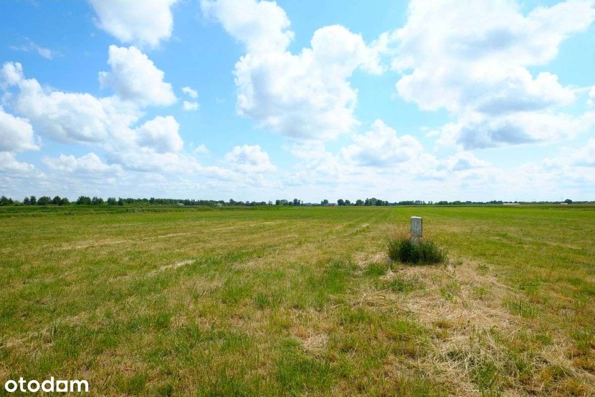 Kampinos: blisko do Kpn, ładna, media-5