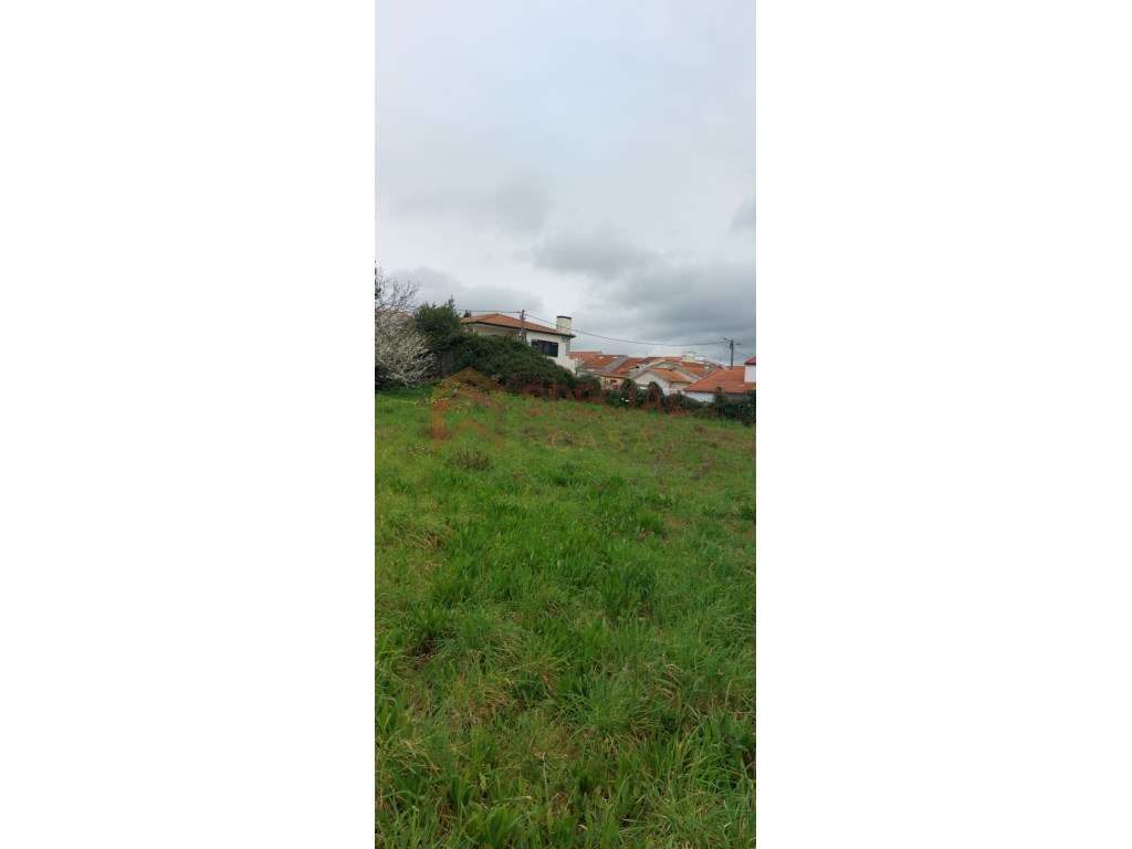 Moradia em Ruína no Centro Avintes-7