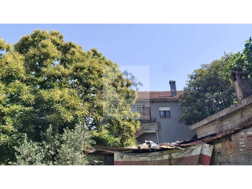 Fabulosa propriedade na zona centro do país com mais de 4.000m2 e m...-47