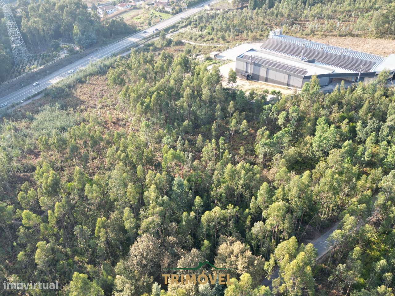 Terreno em Zona Industrial - Grande imagem: 4/14