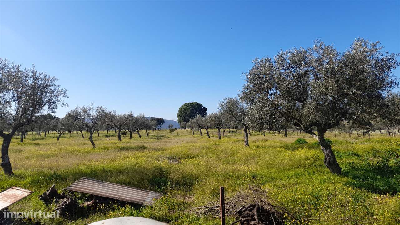 Quinta T0 Venda em Vila Velha de Ródão,Vila Velha de Rodão-13