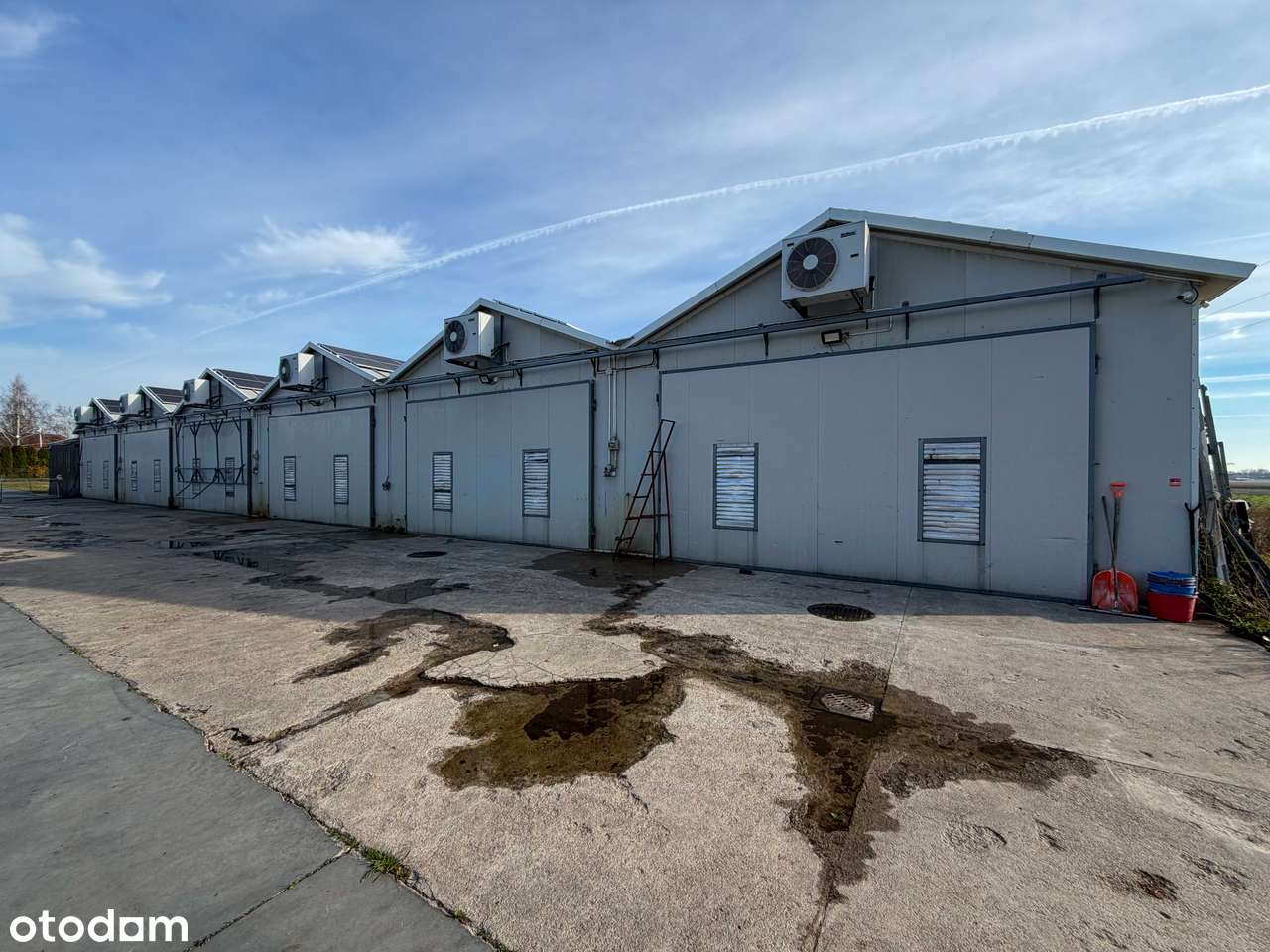 Nowoczesna i wyposażona pieczarkarnia z częścią magazynową – Janowo,-15