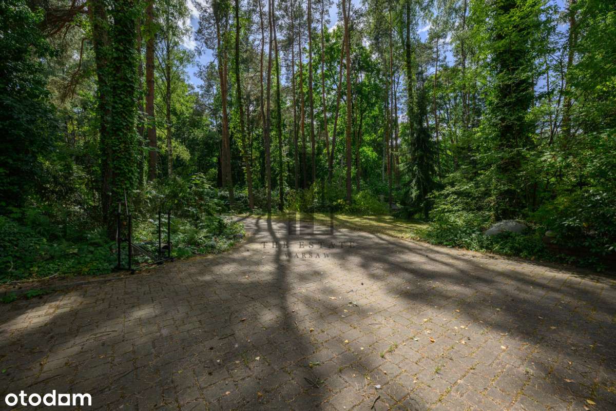 Piękny dom na atrakcyjnej, zadrzewionej działce - Pełny obrazek: 4/19