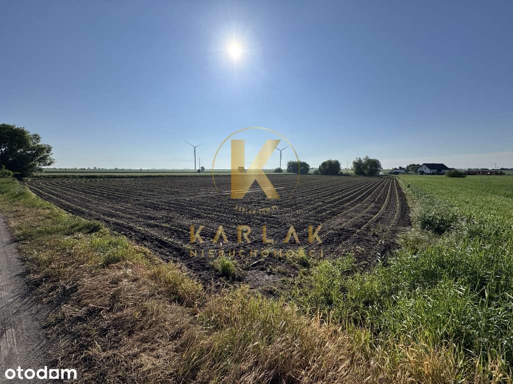 Działka z wydanymi WZ na uboczu - Pełny obrazek: 5/9