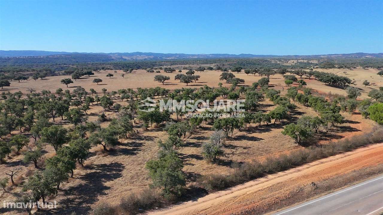Herdade  Venda em Garvão e Santa Luzia,Ourique-30