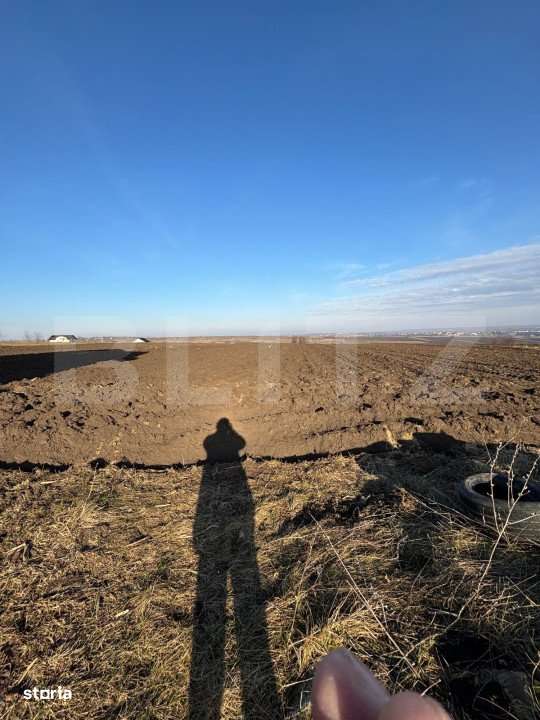 Casa la rosu, cu 3 camere, 120 mp utili, 5000 mp teren, zona Frumoasa - Imagine principală: 4/4