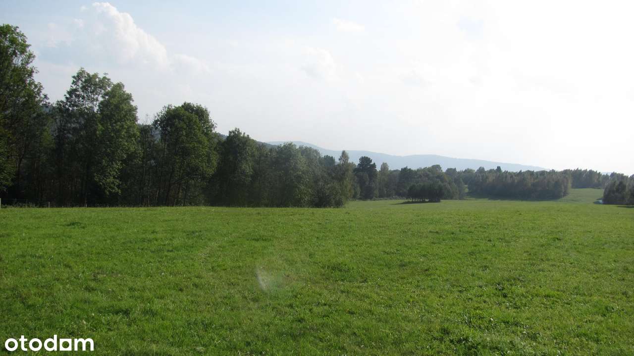 Siedlisko w Bieszczadach-5