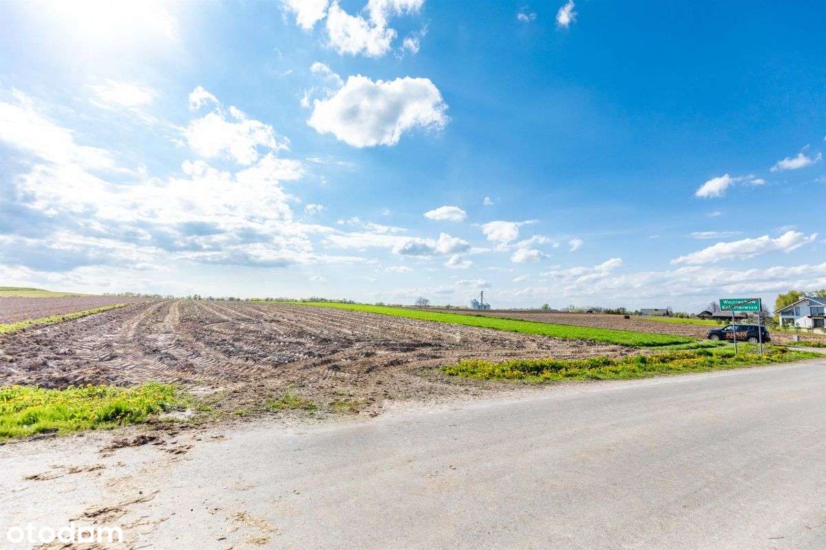 Działka z warunkami zabudowy Wojciechów Kol. Pierw - Pełny obrazek: 4/7