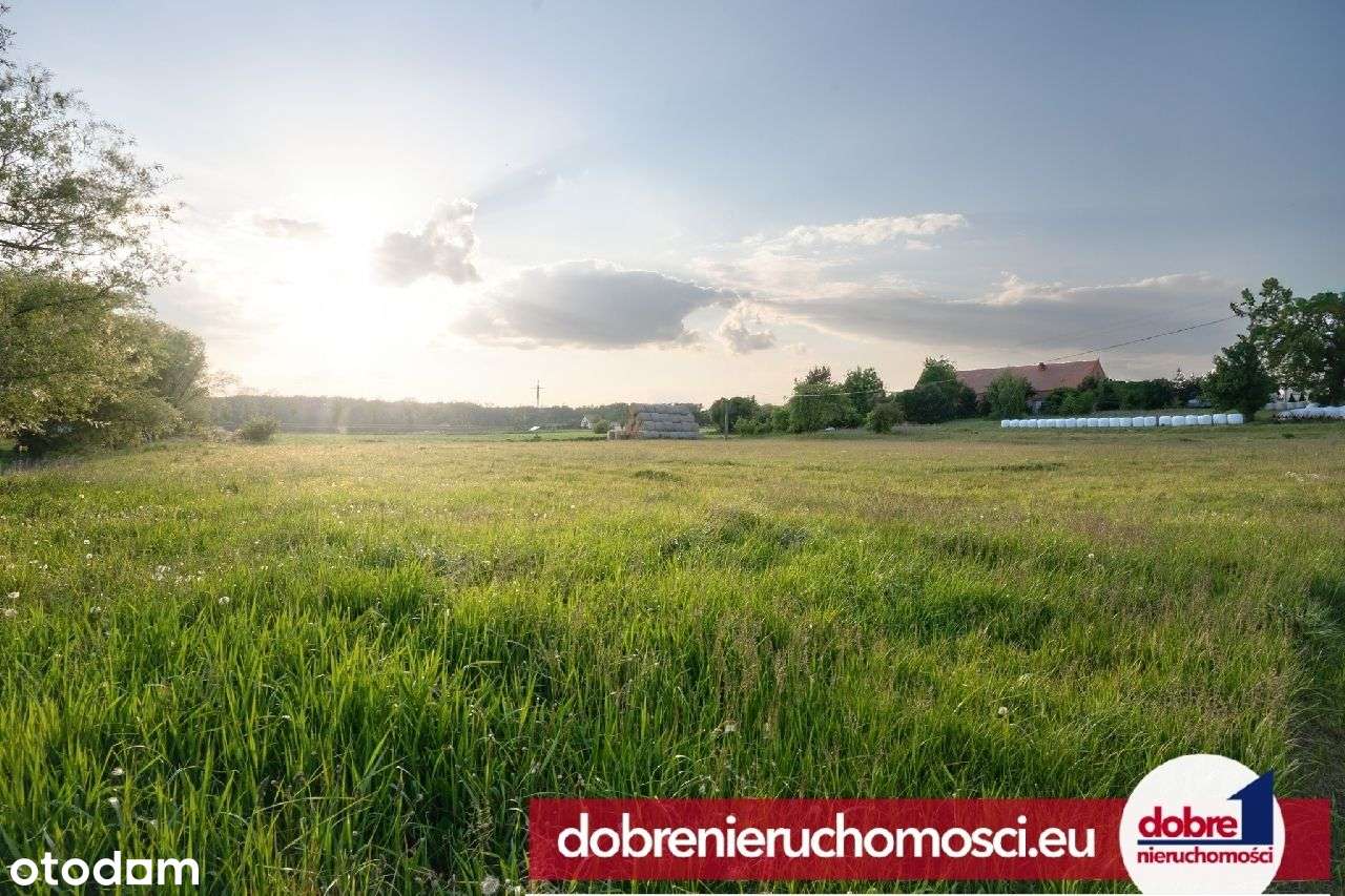 Grunt rolny 7500 m2 Czarnowo, pod inwestycję - Pełny obrazek: 4/4