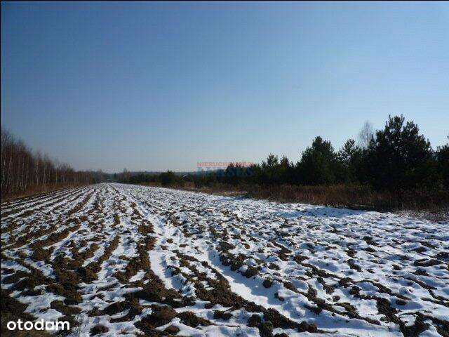 Działka, 18700.0 m², Żabieniec - Pełny obrazek: 2/5