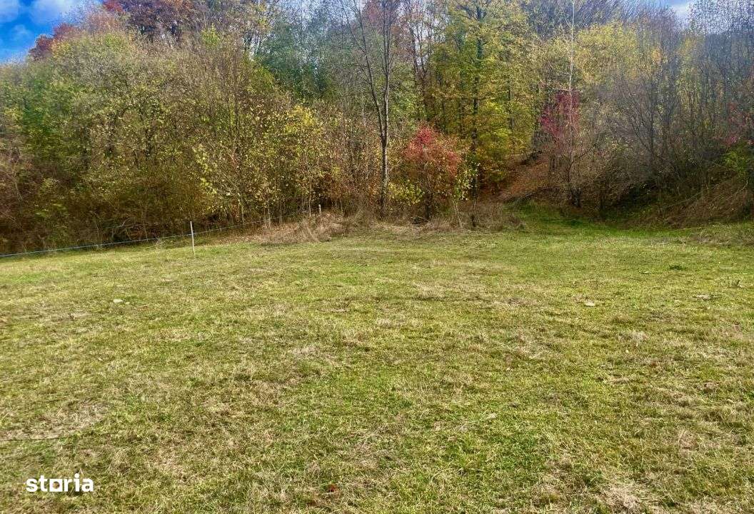 Teren la padure, panoramic dealuri si paduri, curent si asfalt - Imagine principală: 5/13