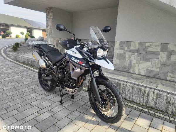 Triumph Tiger - 3