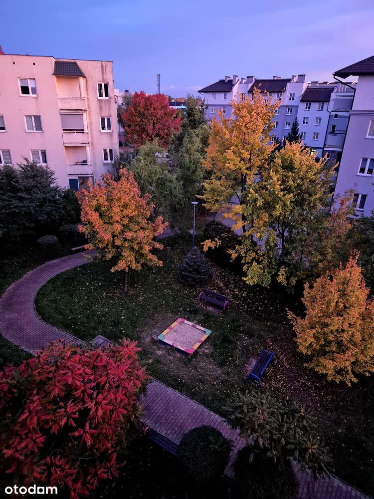 Osiedle Dobrzec Wyszyńskiego 3 pokoje, 61,3 m gotowe do wprowadzenia - Pełny obrazek: 5/11