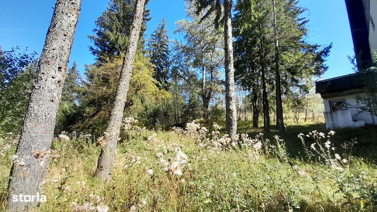 Pensiune in stilul arhitectural al cabanelor austriece, teren, 5000 mp - Imagine principală: 5/20