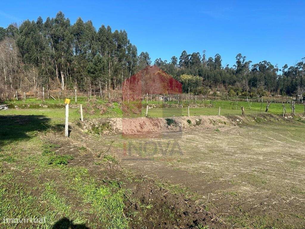 Moradia V3 Térrea, Prado São Miguel-16