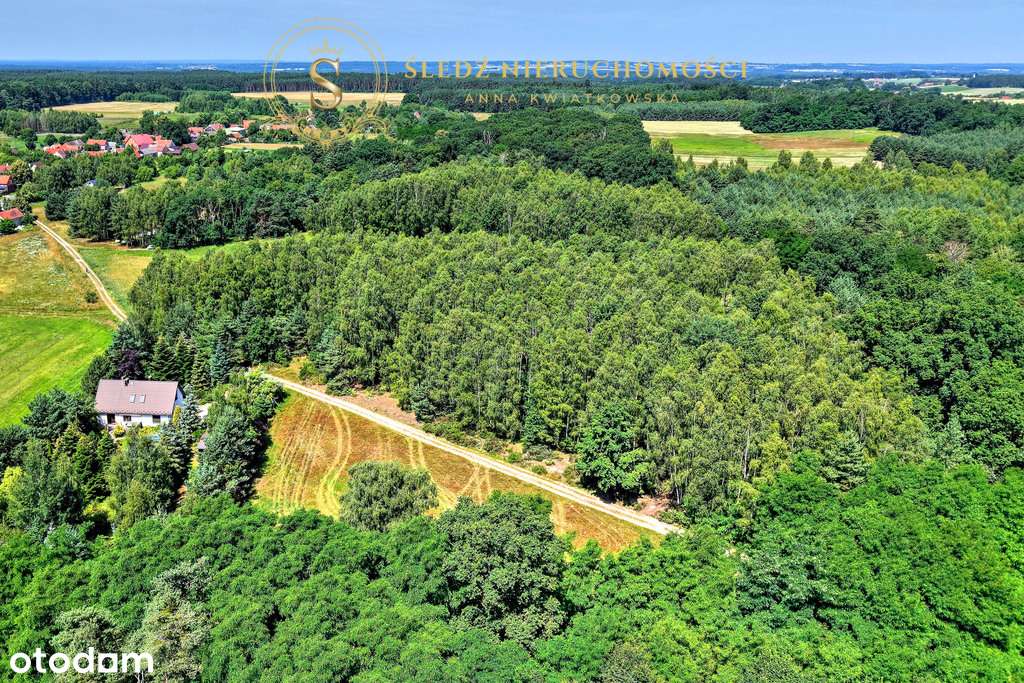 1,2 ha Działka Budowlana 45 min od Wrocławia + Las-14