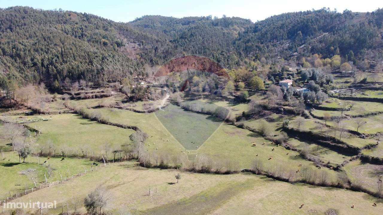 Terreno  para venda - Grande imagem: 5/35