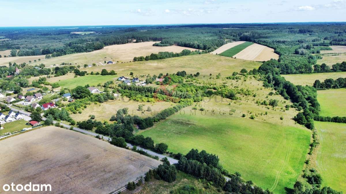 Sarbsk! Duża działka przy strumyku - Pełny obrazek: 5/9